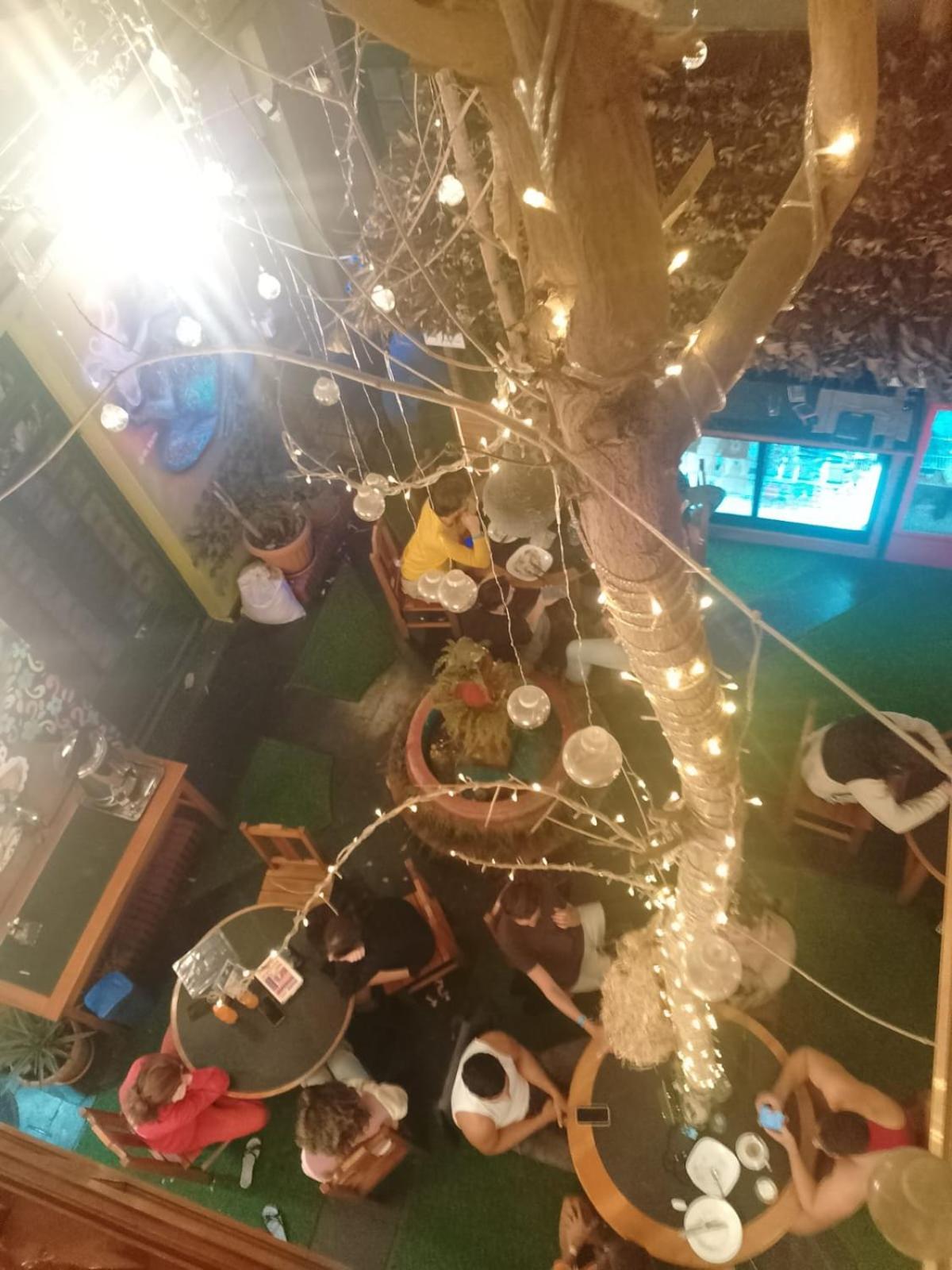 Saint Peter'S Llama Hostal ラパス エクステリア 写真