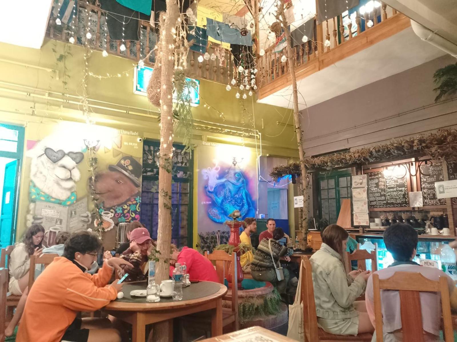Saint Peter'S Llama Hostal ラパス エクステリア 写真