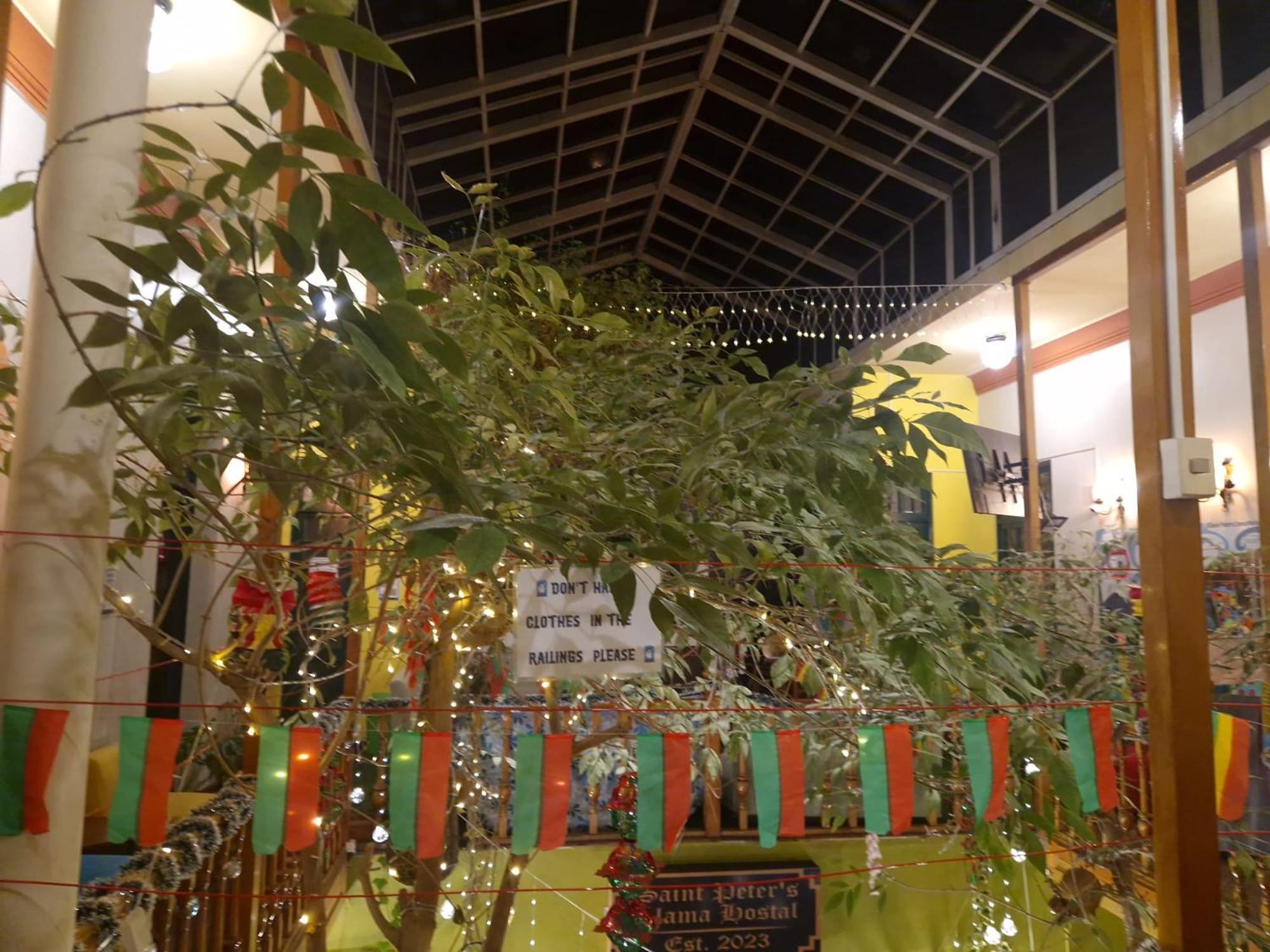 Saint Peter'S Llama Hostal ラパス エクステリア 写真