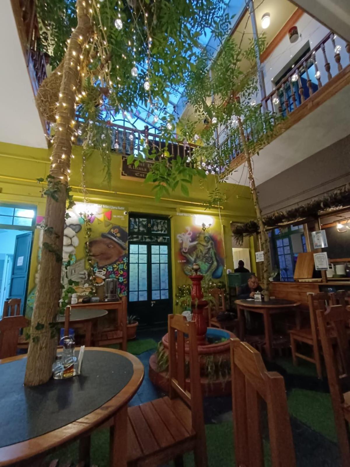 Saint Peter'S Llama Hostal ラパス エクステリア 写真
